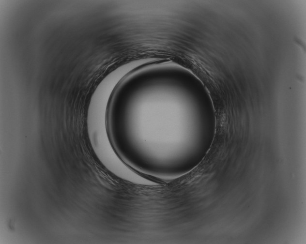 X0000093360868200710111453