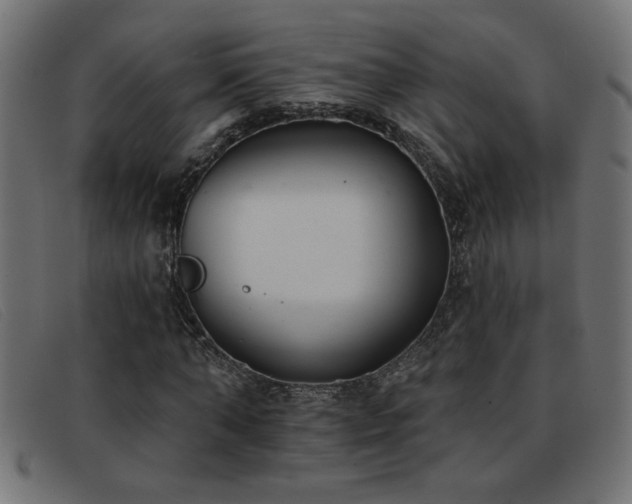 X0000093360870200710111453