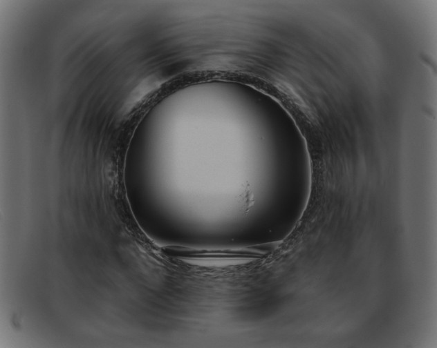 X0000093360872200710111453