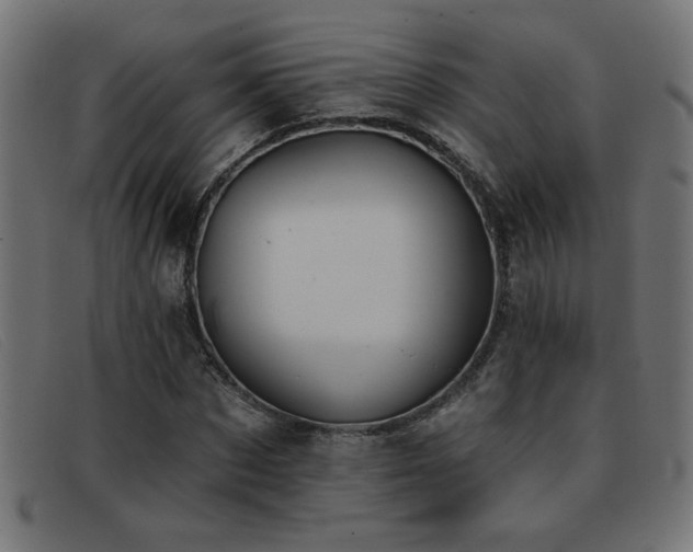 X0000093360873200710111453