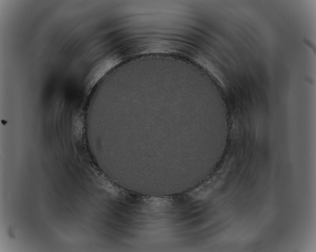 X0000093360874200710111453
