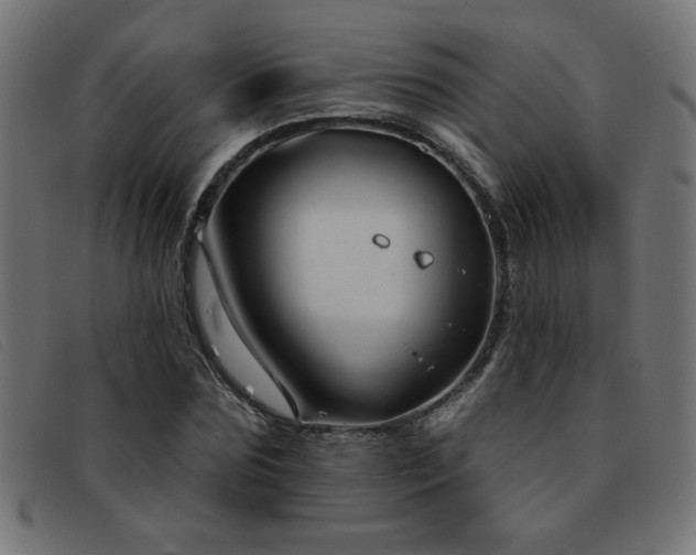 X0000093360875200710111453