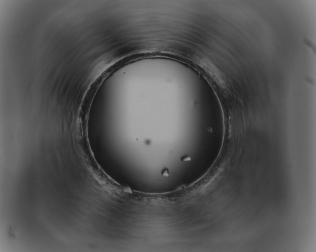 X0000093360876200710111453