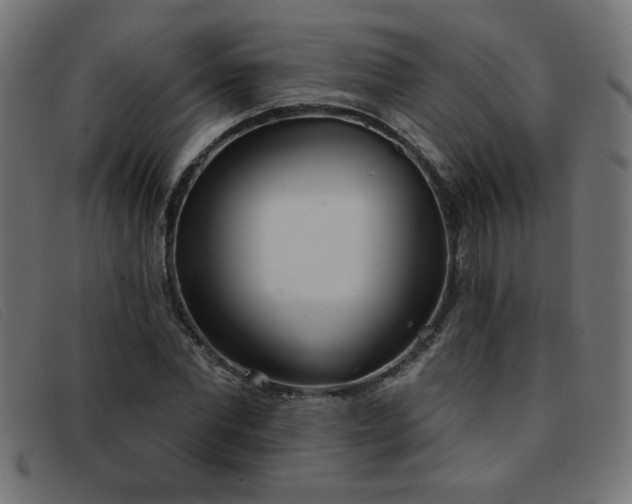 X0000093360877200710111453