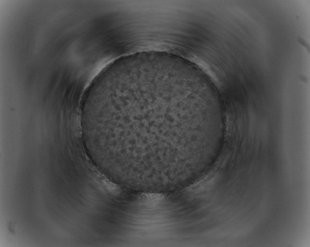 X0000093360878200710111453
