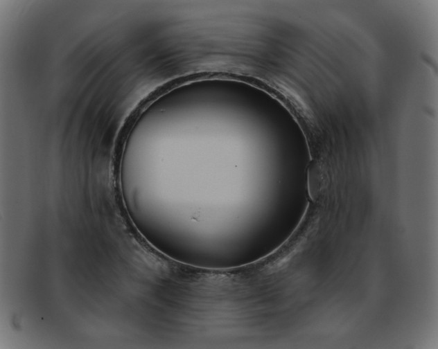 X0000093360880200710111453
