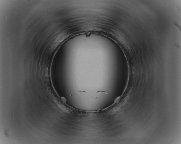 X0000093360881200710111453