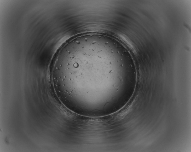 X0000093360883200710111452