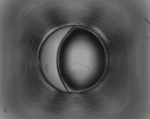X0000093360884200710111452