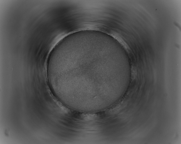 X0000093360886200710111452