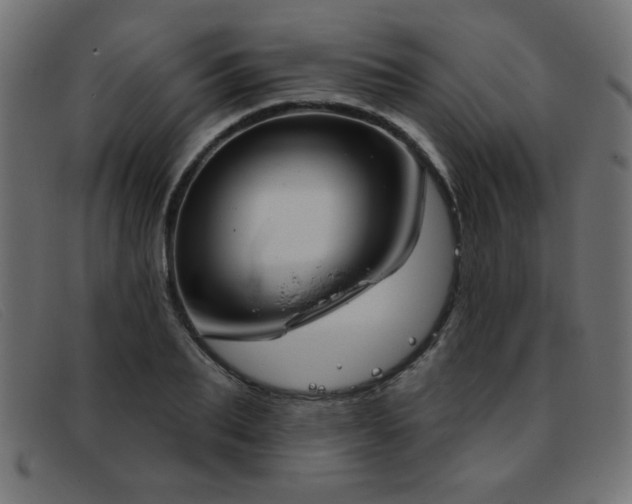 X0000093360887200710111452