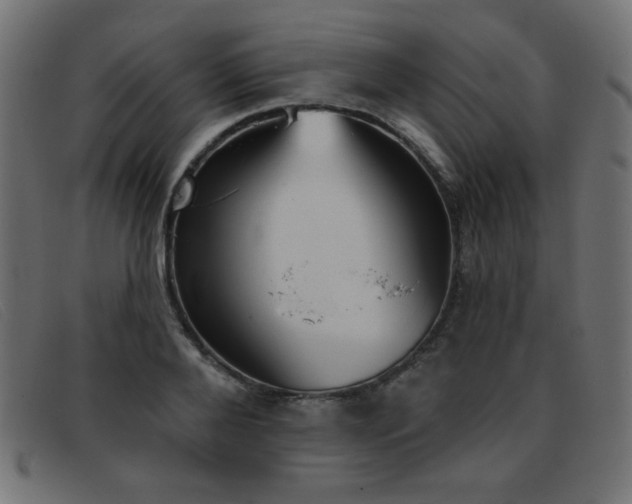 X0000093360888200710111452