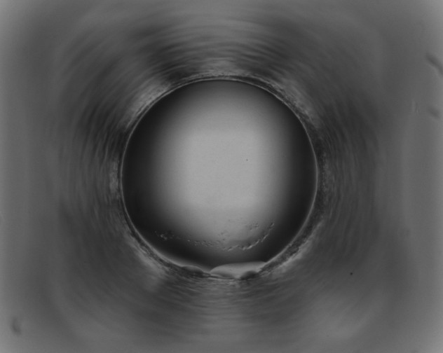 X0000093360889200710111452