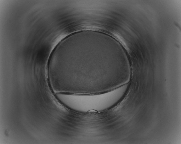 X0000093360891200710111452