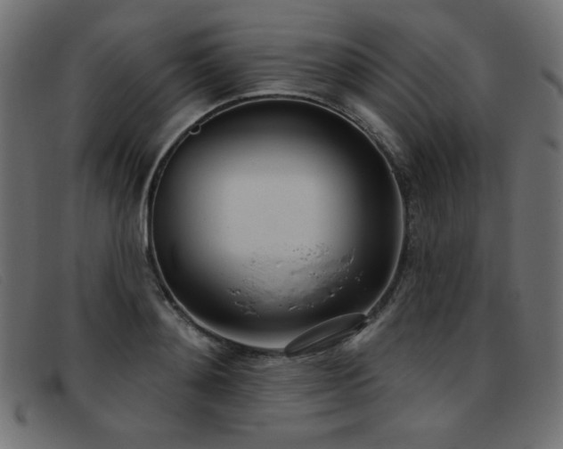 X0000093360892200710111452
