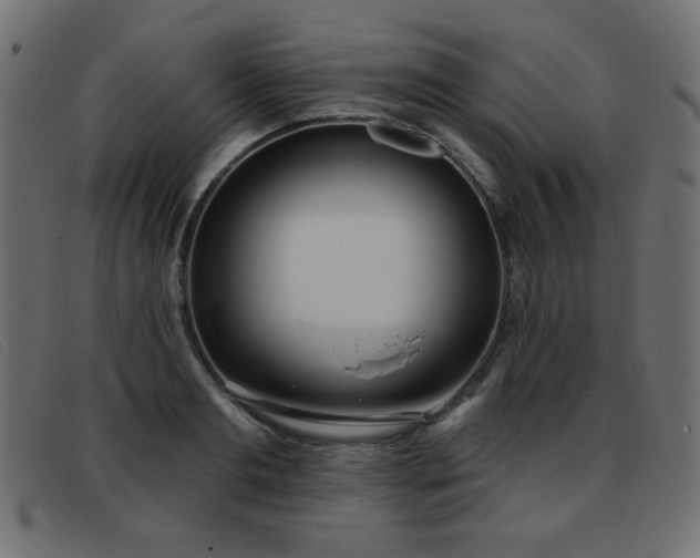 X0000093360893200710111452