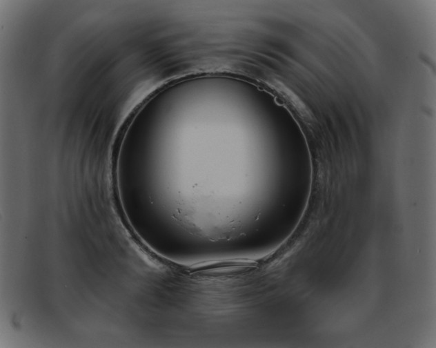 X0000093360894200710111452