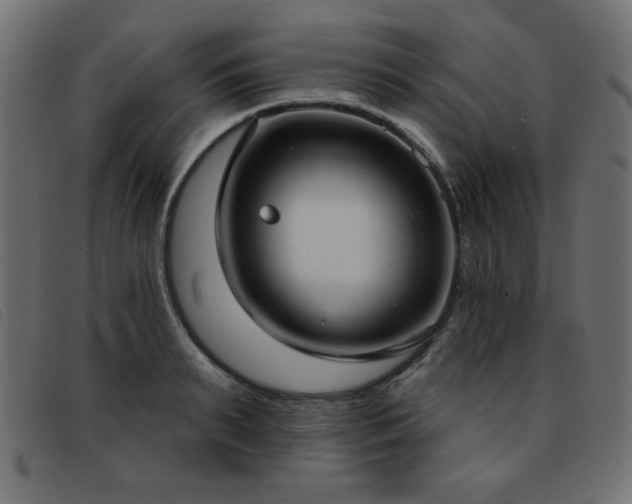 X0000093360895200710111452