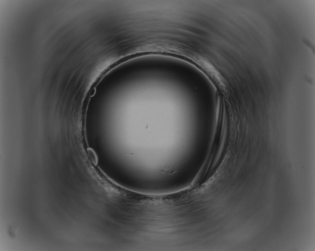 X0000093360896200710111452