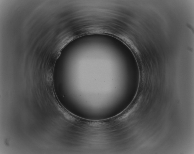 X0000093360897200710111452