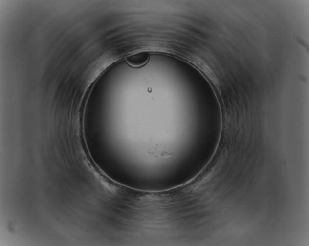 X0000093360898200710111452