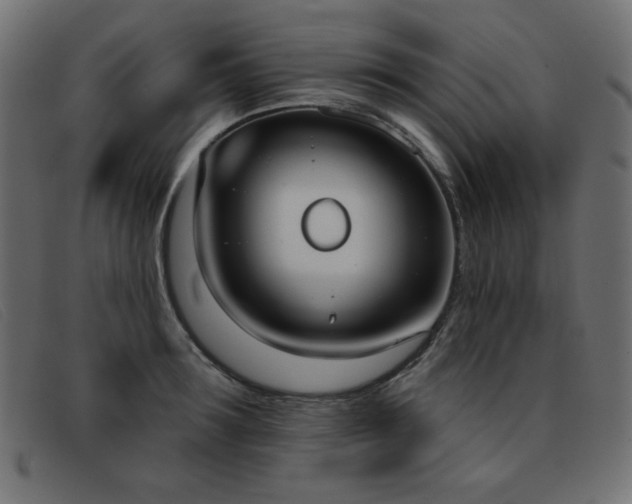 X0000093360899200710111452