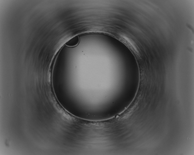 X0000093360900200710111452
