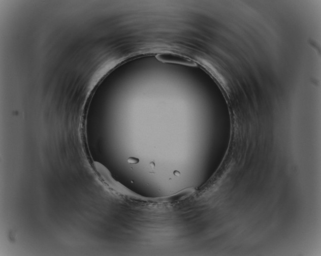 X0000093360901200710111452