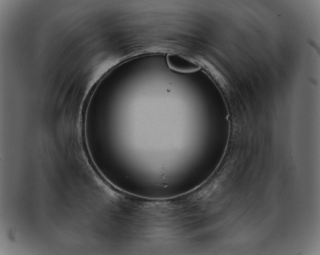 X0000093360902200710111452
