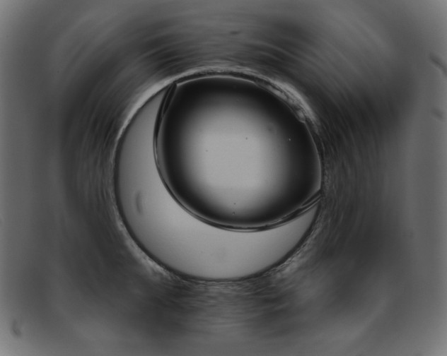 X0000093360903200710111452
