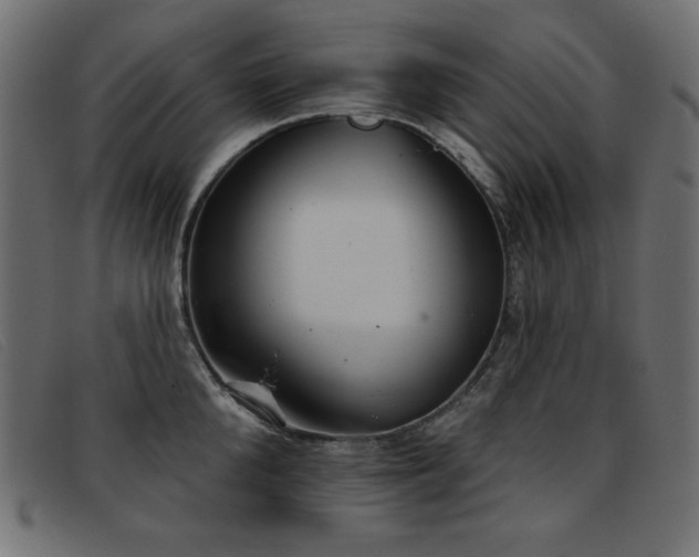 X0000093360904200710111452