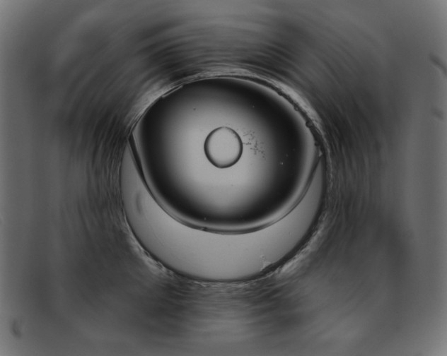 X0000093360905200710111452