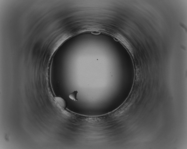 X0000093360906200710111452