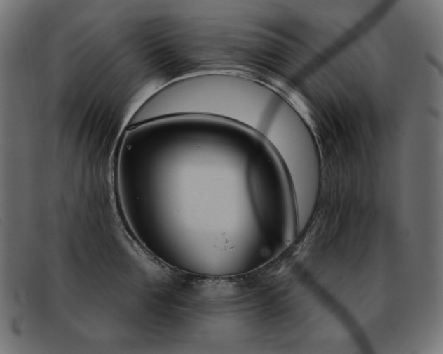 X0000093360907200710111452