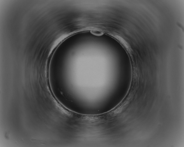 X0000093360910200710111452