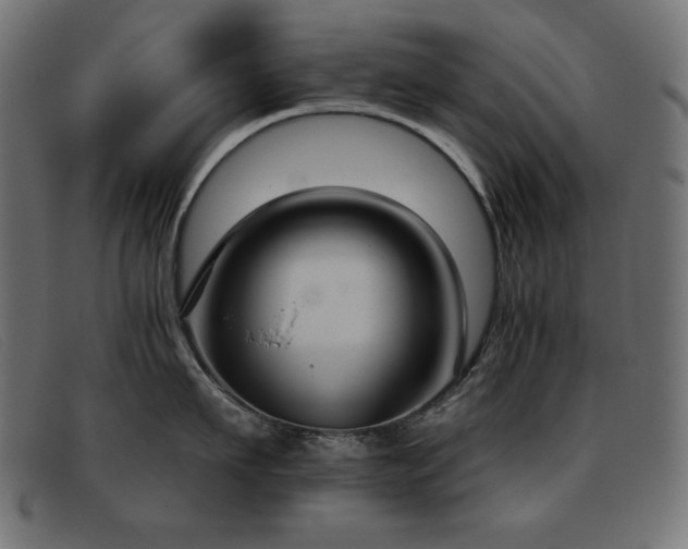 X0000093360911200710111452