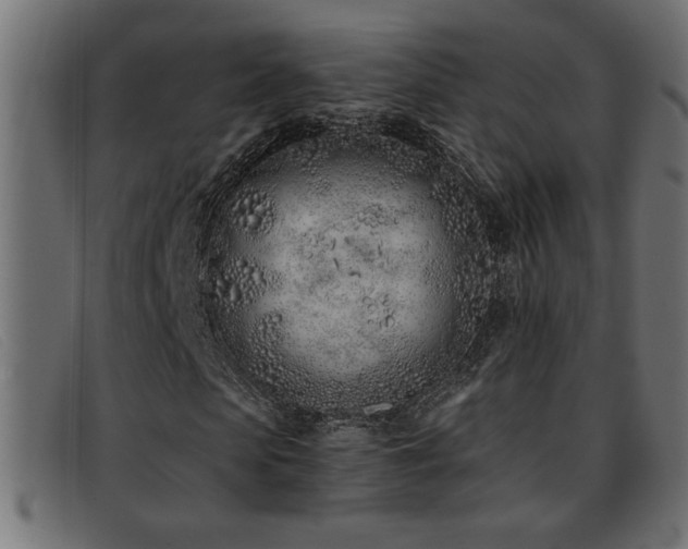 X0000093360913200710111452