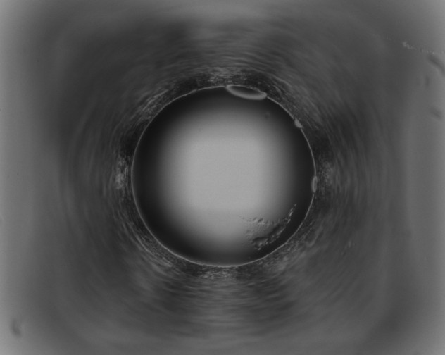 X0000093360914200710111452