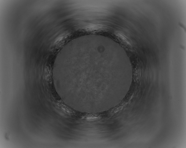 X0000093360917200710111452
