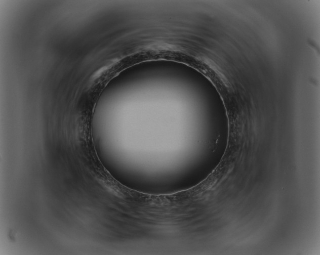 X0000093360919200710111452