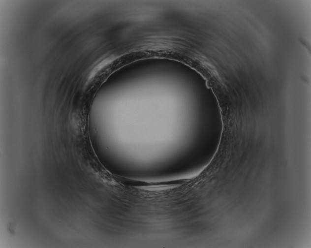 X0000093360920200710111452