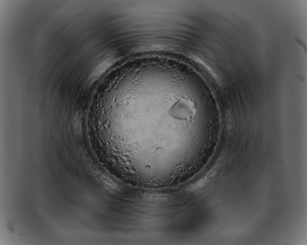X0000093360921200710111452