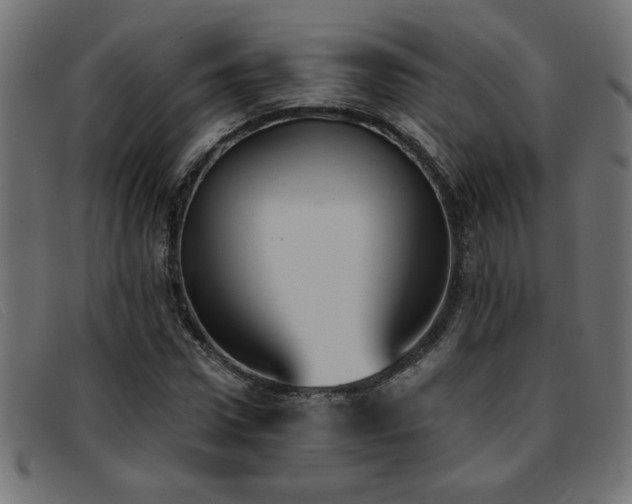 X0000093360922200710111452