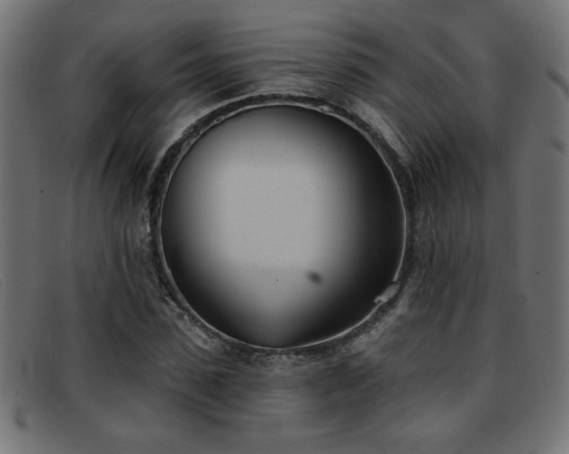 X0000093360923200710111452