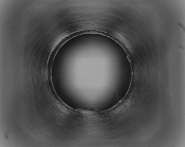 X0000093360924200710111452