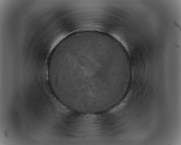 X0000093360925200710111452