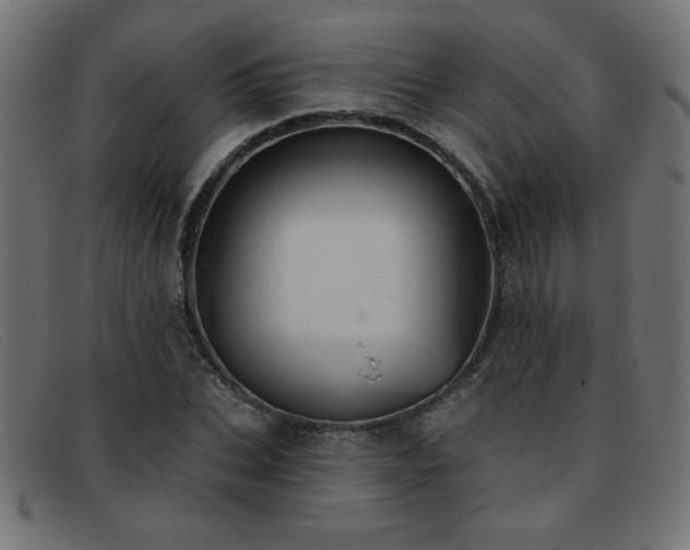 X0000093360927200710111452