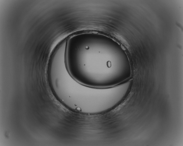 X0000093360928200710111452