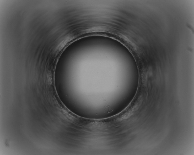 X0000093360929200710111452