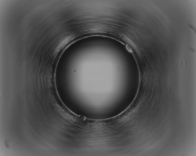 X0000093360930200710111452